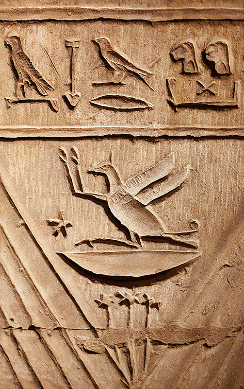 Bird Hieroglyphics 2
